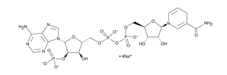 NAPH(氧化型輔酶II) NAPH(氧化型輔酶II)