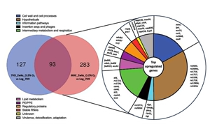 PNAS：萬萬沒想到，結(jié)核桿菌自己提供促進(jìn)空氣傳播的基因