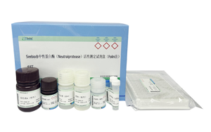 西寶生物隆重推出兩款蛋白酶檢測試劑盒 - 精準檢測，賦能生物制藥質量控制
