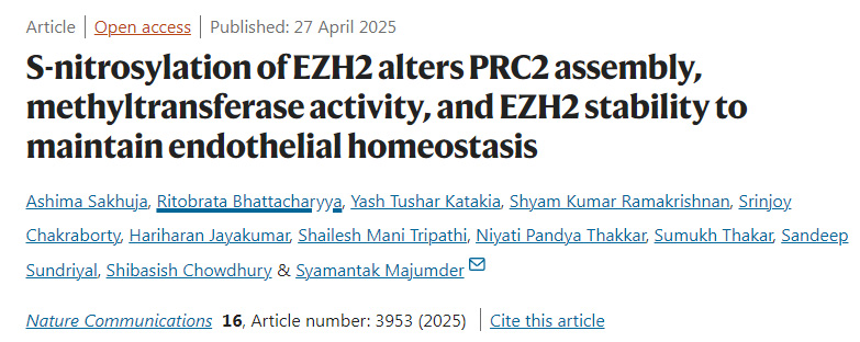 EZH2的S-亞硝基化通過改變PRC2復合物的組裝、甲基轉移酶活性及EZH2的穩定性來維持內皮穩態 EZH2的S-亞硝基化通過改變PRC2復合物的組裝、甲基轉移酶活性及EZH2的穩定性來維持內皮穩態