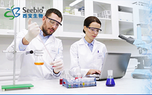表面活性劑家族,種類齊全 常備現貨