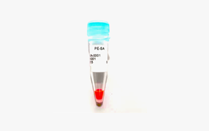 R-藻紅蛋白標記鏈霉親和素(PE-SA)