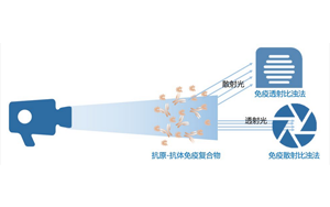 【診斷試劑原料】免疫比濁用抗體系列