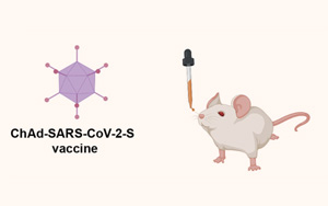 Science Immunology研究證實(shí):鼻腔噴霧劑對(duì)阻止變異很重要