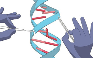 Nature Biotech：不受序列限制，精確切割DNA