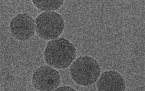 Nature子刊:新型納米粒子提供創新的癌癥化療免疫療法