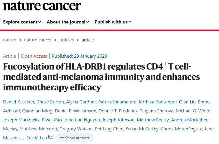 巖藻糖基化HLA-DRB1蛋白調節CD4+T細胞介導的抗黑色素瘤免疫并增強免疫治療效果 巖藻糖基化HLA-DRB1蛋白調節CD4+T細胞介導的抗黑色素瘤免疫并增強免疫治療效果