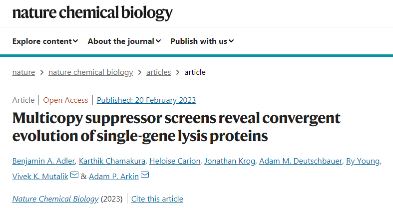 開發了一種高通量基因篩查方法識別單基因裂解蛋白(single-gene lysis proteins) 開發了一種高通量基因篩查方法識別單基因裂解蛋白(single-gene lysis proteins)