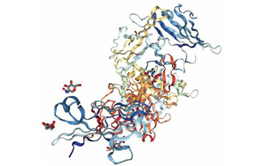 解碼微生物腸道信號(hào)的研究為IBD提供了潛在的新治療方法