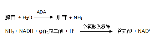 腺苷脫氨酶（ADA）谷氨酸脫氫酶法檢測(cè)原理