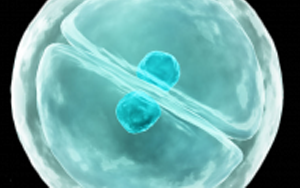 eLife:細胞真是“成精了”,它能模仿人類交流方式,一旦“關系”破裂,癌癥和糖尿病都找上門