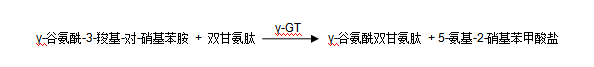 γ-谷氨酰轉移酶(γ-GT)檢測原理 γ-谷氨酰轉移酶(γ-GT)檢測原理