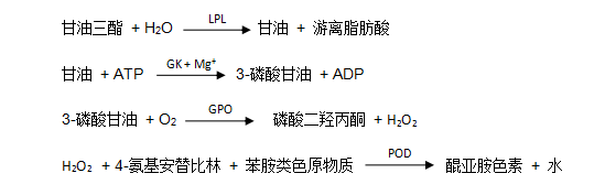 甘油三酯(TG)檢測原理 甘油三酯(TG)檢測原理