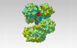 Nature解開一種蛋白質,研發一種新的生物技術工具