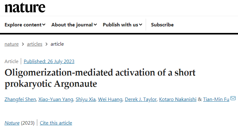 研究表明Argonaute蛋白能夠使多吸管Maribacter polysiphoniae細(xì)菌在檢測(cè)到質(zhì)粒入侵時(shí)編程死亡 研究表明Argonaute蛋白能夠使多吸管Maribacter polysiphoniae細(xì)菌在檢測(cè)到質(zhì)粒入侵時(shí)編程死亡