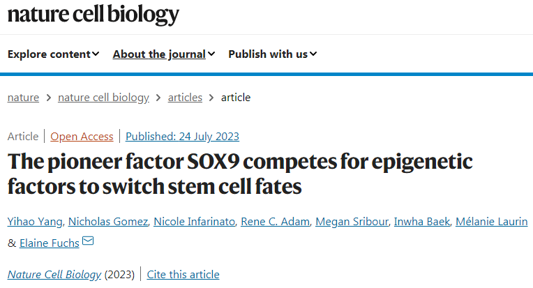 研究發現SOX9控制著遺傳信息從DNA到mRNA的傳遞 研究發現SOX9控制著遺傳信息從DNA到mRNA的傳遞
