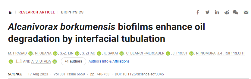 研究揭示了特殊細菌如何優化油的生物降解和消耗 研究揭示了特殊細菌如何優化油的生物降解和消耗