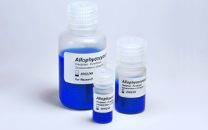 別藻藍(lán)蛋白(Allophycocyanin, APC)——超敏熒光染料