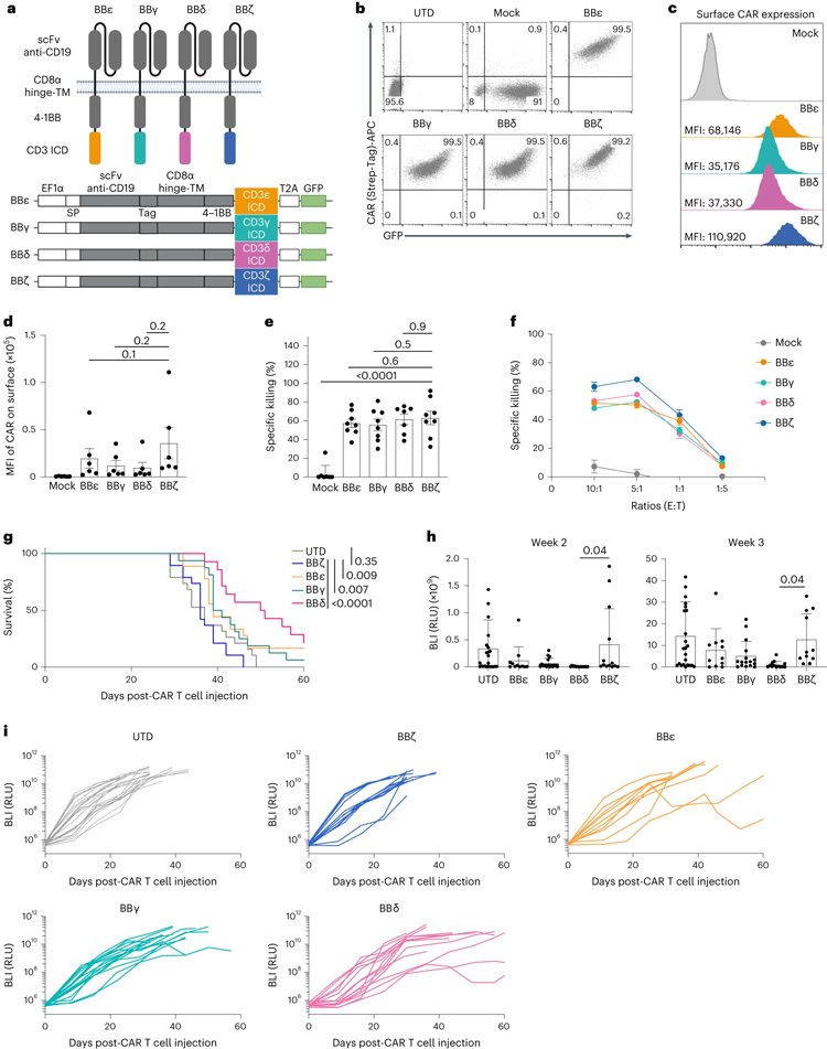 含有CD3δ/ε/γICD的CAR優于含有ζ的CAR 含有CD3δ/ε/γICD的CAR優于含有ζ的CAR