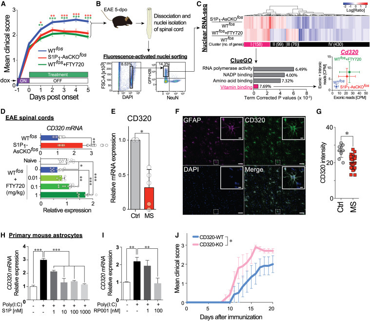 FTY720 restores CD320 expression that is downregulated in EAE and MS lesions and is essential for protecting against neuroinflammation
FTY720恢復CD320的表達,CD320在EAE和MS病變中下調,對預防神經炎癥至關重要
FTY720 restores CD320 expression that is downregulated in EAE and MS lesions and is essential for protecting against neuroinflammation
FTY720恢復CD320的表達,CD320在EAE和MS病變中下調,對預防神經炎癥至關重要