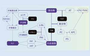 血栓調(diào)節(jié)蛋白（TM）-磁微?；瘜W(xué)發(fā)光法（AE/AP）解決方案