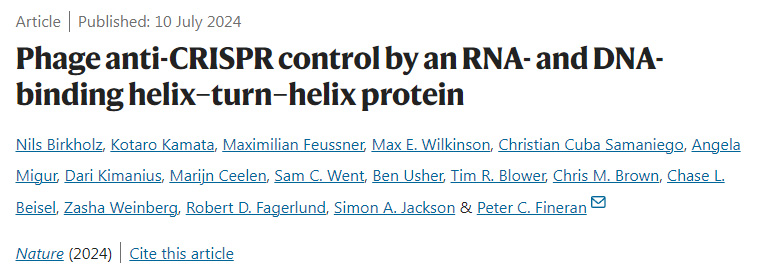 通過RNA和DNA結(jié)合螺旋-轉(zhuǎn)螺旋蛋白控制噬菌體抗CRISPR 通過RNA和DNA結(jié)合螺旋-轉(zhuǎn)螺旋蛋白控制噬菌體抗CRISPR