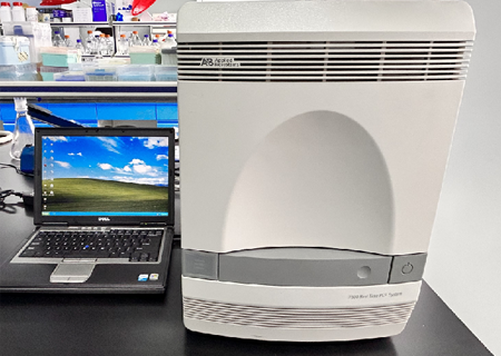 熒光定量PCR