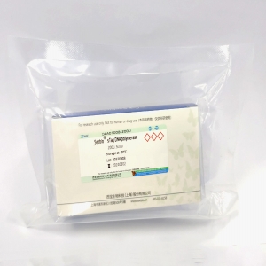 Seebio? sTaq DNA Polymerase（含dNTP）
