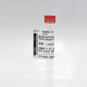 GFP 標(biāo)簽抗體, 兔單抗