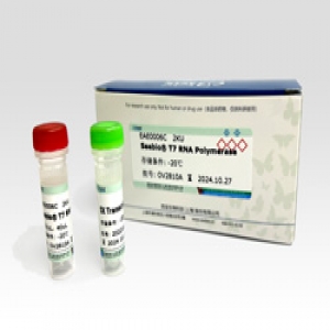 Seebio? T7 RNA Polymerase