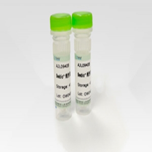 Seebio? 線性聚乙烯亞胺（PEI 40,000）（粉末）