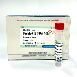 Seebio??麥芽糖結(jié)合蛋白（MBP）