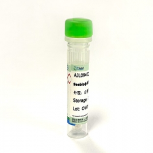 Seebio? 線性聚乙烯亞胺（PEI 40,000）（即用型）