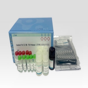 Seebio? TEV 蛋白酶（TEV Protease）活性測定試劑盒（熒光法）